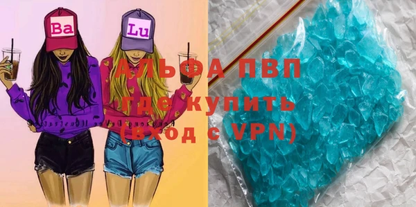 гидра Алексин
