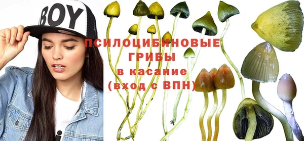 прущая мука Алзамай