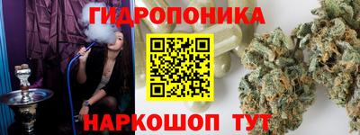 винт Партизанск
