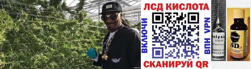 kraken ССЫЛКА  Элиста  Марки N-bome 1,5мг 