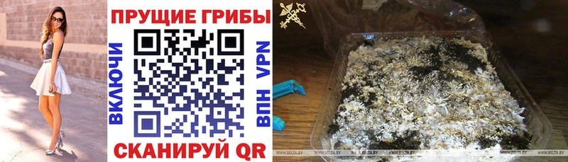 закладка Элиста Галлюциногенные грибы ЛСД