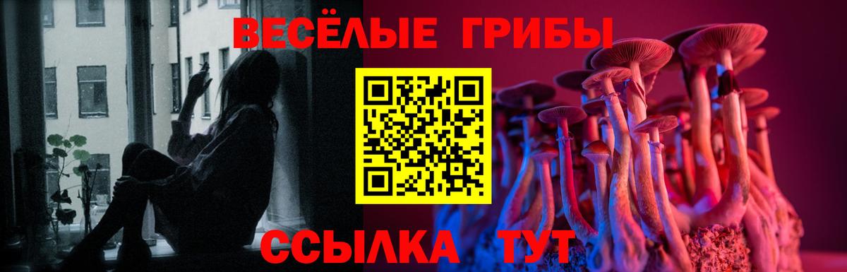 Галлюциногенные грибы прущие грибы  Вход с VPN  Галлюциногенные грибы Magic Shrooms  Элиста 