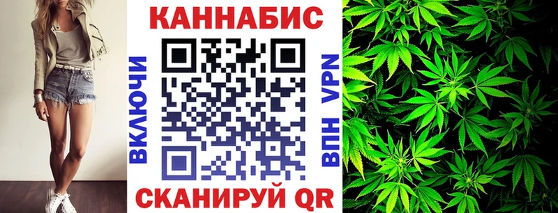 Конопля гибрид  Элиста 